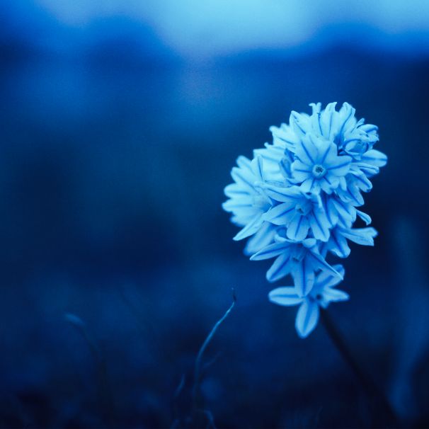 Uczestnicy warsztatów Bliżej dziecka w Gdańsku wymieniają się doświadczeniami i pomysłami na relacje z dziećmi.