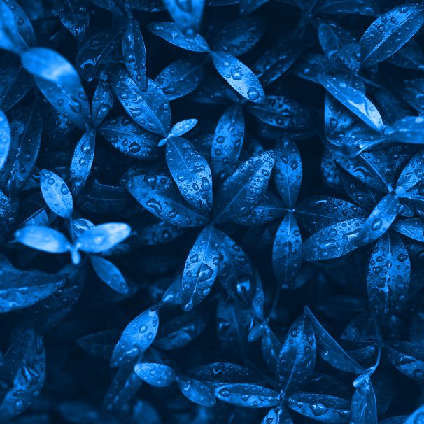 Rodzice podczas warsztatów Bliżej dziecka w Gdańsku uczą się empatycznej komunikacji z dziećmi.