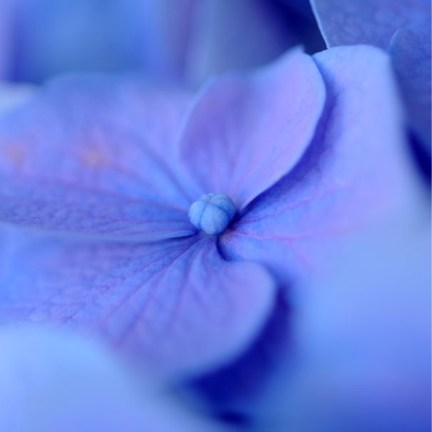 Jak rozmawiać w konflikcie Gdańsk – grafika ilustrująca konflikt i możliwe porozumienie przez empatyczną komunikację