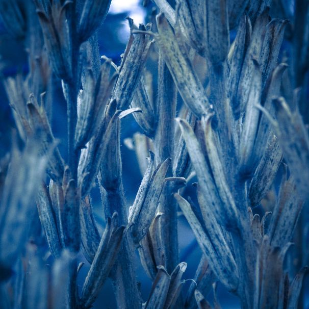 Psychotraumatolog i mediator Gdańsk – Kasia Czermińska, trenerka komunikacji empatycznej i wsparcia relacji