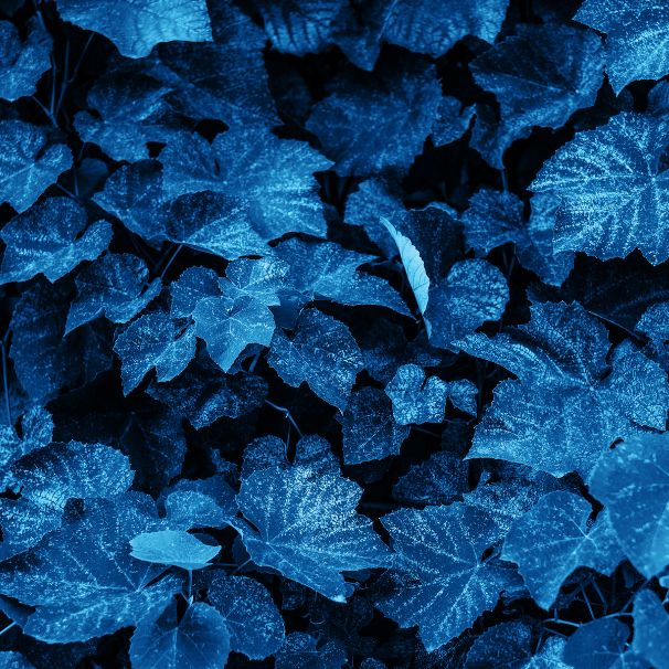 Psychotraumatolog Gdańsk – Kasia Czermińska prezentuje warsztaty dla rodziców nastolatków.