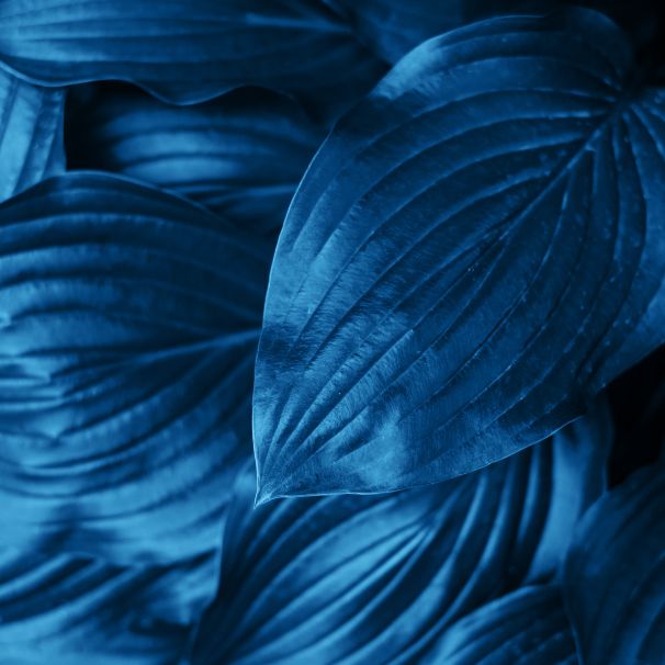 Psychotraumatolog Gdańsk – Kasia Czermińska zaprasza na konsultacje dla osób doświadczających traumy relacyjnej.